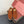 LP Summer Charms Walk Loafers Brown Suede 984724