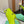 BLC Cagole Mid-Calf Boots 9.5cm Neon Green Leather 985485