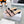 CD Dway Heeled Mules Pink Polka Dot Bow 987035