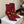BM 26S Pointed-Toe Boots 10.5cm Gold Logo Buttons Burgundy Suede & Embossed Leather 111352