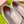 Miu 26S Mary Jane Flats Buckled Strap Logo Pink Suede 137200