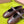 Miu 26S Mary Jane Ballerina Flats Buckle Brown Cowhide 137197