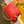 COUSSIN PM 27 RED MONOGRAM EMBOSSED PUFFY LAMBSKIN