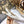 JAdior slingback flat all white embroidered cotton
