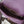 19 FLAP BAG 30 PURPLE GOATSKIN GOLD HARDWARE