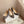 Hangisi Taupe Satin Crystal Embellished Pumps 700528