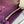 CONSTANCE TO GO 20.5 PURPLE EPSOM GOLD HARDWARE