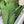 CONSTANCE TO GO 20.5 GREEN EPSOM SILVER HARDWARE