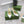 GG HIGH HEEL SLINGBACK WHITE CALFSKIN WITH CHAIN