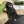 DYONYSUS SHOULDER BAG 20 IN BLACK CALFSKIN SILVER HARDWARE