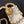 Classic Mini Flap Bag 20cm White Lambskin Gold Hardware
