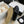 espadriles black white tweed black lambskin