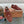LP 26s Open Walk Loafers 2cm Burgundy Suede Shearling SHW 110780