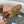 LP 26s Open Walk Loafers 2cm Camel Suede Shearling SHW 110789