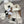 CE Hat Scarf Gloves Set White Knit Fur 475090