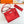 Kelly Danse II 22cm Red Evercolor Leather Shw