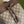OPHIDIA MEDIUM BUCKET BAG 26 WITH WEB IN BEIGE EBONY CANVAS MIX BROWN CALFSKIN