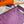 Kelly Danse II 22cm Purple Evercolor Leather Shw