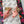 d&g iguana print pastel pink calfskin 90 heel