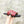 HM IZMIR SANDAL BLACK AND CHERRY CALFSKIN