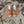 Rockstud Crisscross Espadrilles 80mm Sandal Wedges Orange
