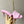 LV Neo Revival Mule 65mm Pink Cowhide