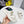 cd dioract dad sandal mule white lambskin