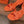 SLINGBACK SANDAL ETERNITE 75 ORANGE LAMBSKIN