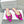 Manolo Buckle Flast Mules Dark Pink Silk 327521