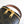 MINI VANITY CASE TRIOMPHE CANVAS AND CAFLSKIN TAN