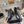 CC 26s Booties 6.5cm Black Sheepskin 966880
