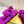 FENDI DAD SANDAL IN MAGENTA PURPLE FLEECE