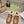 GG Snow Boots Brown Calfskin Wool 576240