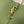 Le 5 a 7 24 Light Green Lambskin Ghw