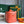 MUSE VANITY CASE 20 IN ORANGE GOYARDINE CANVAS