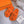 chypre sandal orange lamb wool