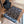 FF Jacquard 180CM Scarf Black Gray Wool