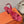 HM Holy 105 Sandal In Bright Pink Grained Calfskin