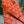 MONTMARTRE GM CASE 18 IN ORANGE GOYARDINE CANVAS