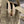 MEDIUM 28 CASSETTE BEIGE LAMBSKIN