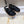 CHLOÉ CROSS STRAP SANDAL IN BLACK RUBBER WITH GOLD HARDWARE