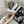 cc sandal white beige lambskin mop