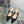 cd pump 65 transparent mesh embroidered black flower moitf