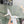 cd pump 65 transparent mesh embroidered white flower moitf