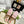 MEN'S MULE WITH HORSEBIT IN PINK PASTEL MONOGRAM JACQUARD FABRIC