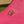 APHRODITE MINI 21 SHOULDER BAG IN BRIGHT PINK CALFSKIN