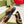 GG TRAINER BLACK AND TAWNY CALFSKIN