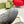 GG TRAINER BRIGHT GRAY CALFSKIN