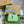 GG JACKIE MINI 19 SHOULDER BAG IN LIGHT GREEN CALFSKIN
