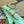 GG JACKIE SMALL 28 SHOULDER BAG IN LIGHT GREEN CALFSKIN
